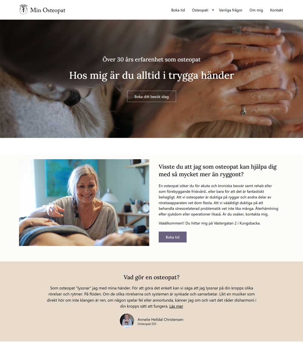 Project Desktop - Lisa Helldal UX Web Design - Professional Websites for small businesses